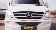 Mercedes Sprinter 313 VIP (377) - вид сбоку