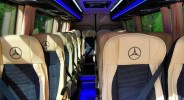 Mercedes Sprinter 313 VIP - фото транспорта