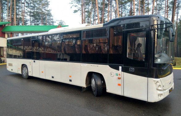 Автобус МАЗ 231062