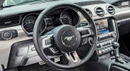 Ford Mustang - фото транспорта